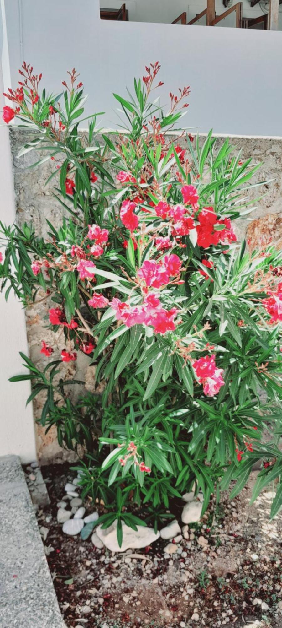 Sunblaze Studios1 Spetses Exterior photo